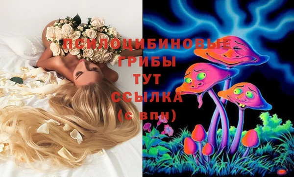 первитин Армянск